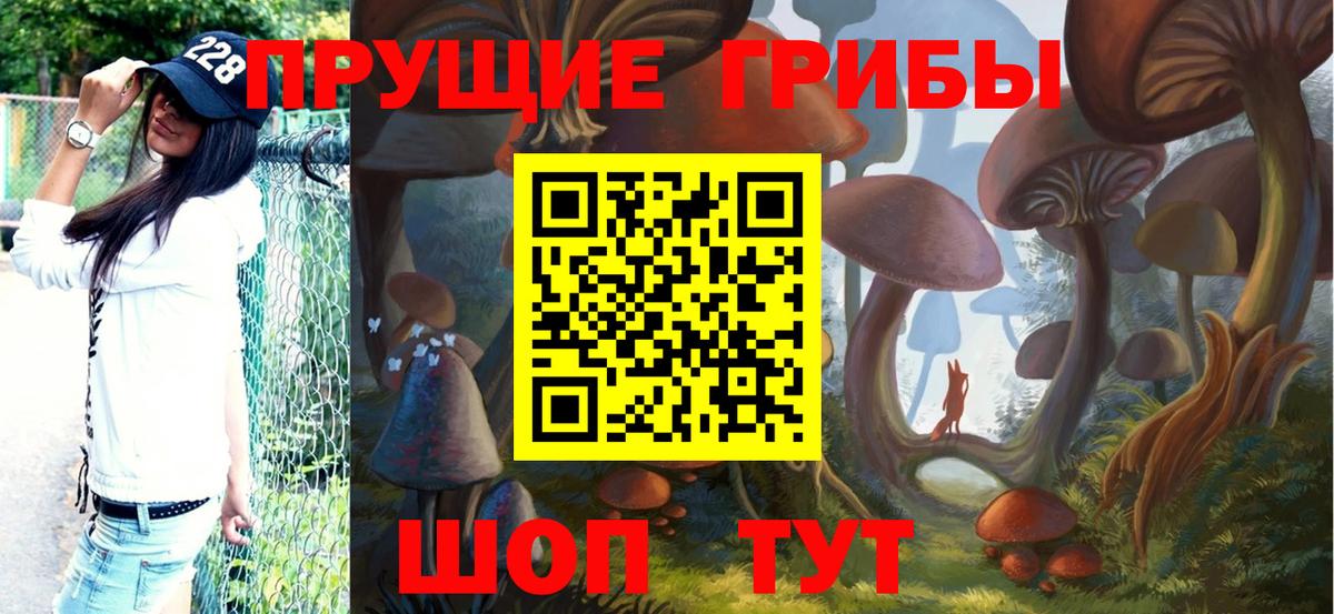 Псилоцибиновые грибы Psilocybine cubensis  Вход с VPN  Ступино 